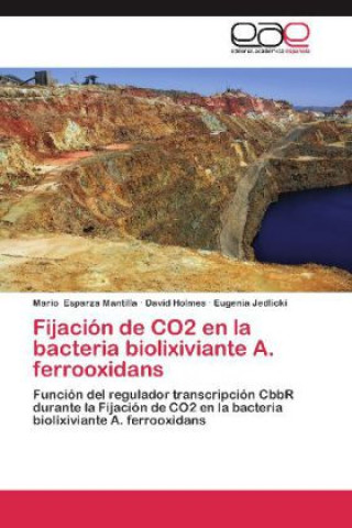 Carte Fijación de CO2 en la bacteria biolixiviante A. ferrooxidans Mario Esparza Mantilla
