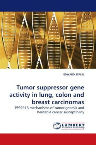 Könyv Tumor suppressor gene activity in lung, colon and breast carcinomas Edward Esplin