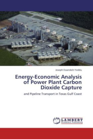 Kniha Energy-Economic Analysis of Power Plant Carbon Dioxide Capture Joseph Essandoh-Yeddu