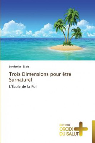 Livre Trois dimensions pour etre surnaturel Lendembe Essie