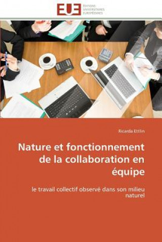 Kniha Nature Et Fonctionnement de la Collaboration En  quipe Ricarda Ettlin