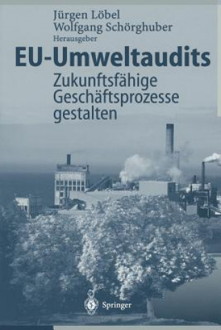 Книга EU-Umweltaudits Jürgen Löbel