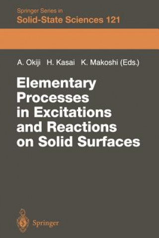 Книга Elementary Processes in Excitations and Reactions on Solid Surfaces Hideaki Kasai