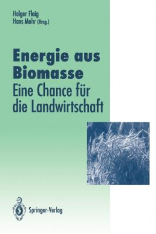 Carte Energie aus Biomasse Holger Flaig