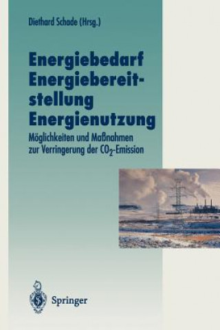 Könyv Energiebedarf Energiebereitstellung Energienutzung Diethard Schade