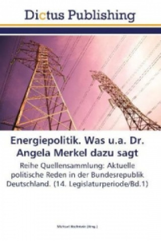Kniha Energiepolitik. Was u.a. Dr. Angela Merkel dazu sagt Michael Hochstein