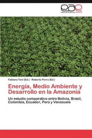 Carte Energia, Medio Ambiente y Desarrollo En La Amazonia Fabiano Toni