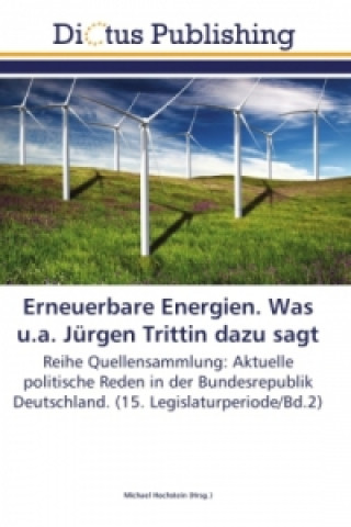 Könyv Erneuerbare Energien. Was u.a. Jürgen Trittin dazu sagt Michael Hochstein