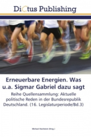 Kniha Erneuerbare Energien. Was u.a. Sigmar Gabriel dazu sagt Michael Hochstein