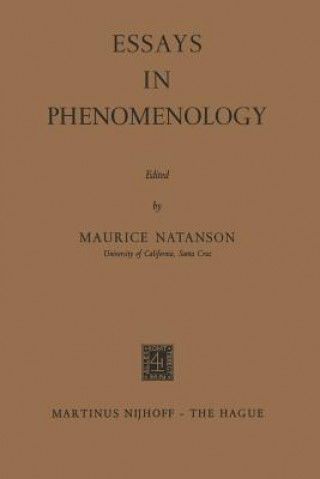 Kniha Essays in Phenomenology Maurice Natanson