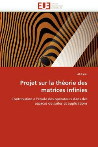 Kniha Projet Sur La Th orie Des Matrices Infinies Ali Fares