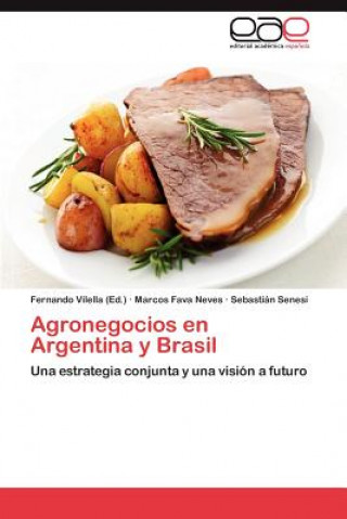 Buch Agronegocios En Argentina y Brasil Marcos Fava Neves