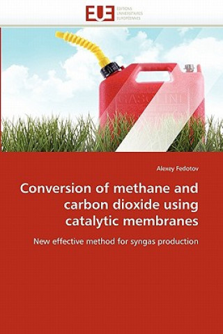 Kniha Conversion of Methane and Carbon Dioxide Using Catalytic Membranes Alexey Fedotov