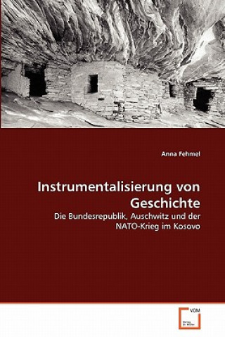 Knjiga Instrumentalisierung von Geschichte Anna Fehmel