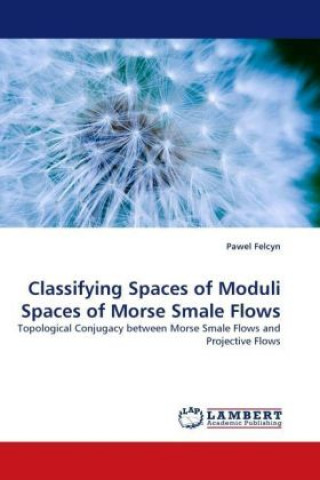 Kniha Classifying Spaces of Moduli Spaces of Morse Smale Flows Pawel Felcyn