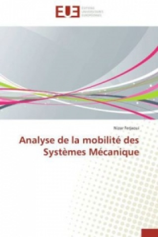 Könyv Analyse de la mobilité des Systèmes Mécanique Nizar Ferjaoui