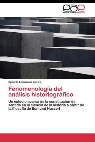 Kniha Fenomenologia del analisis historiografico Roberto Fernández Castro