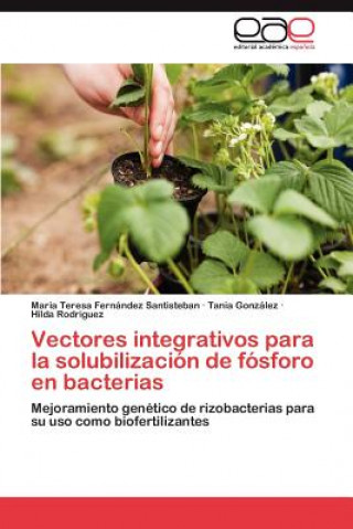 Könyv Vectores Integrativos Para La Solubilizacion de Fosforo En Bacterias Maria Teresa Fernández Santisteban
