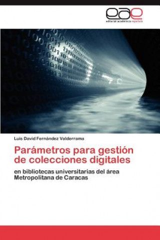 Książka Parametros Para Gestion de Colecciones Digitales Luis David Fernández Valderrama