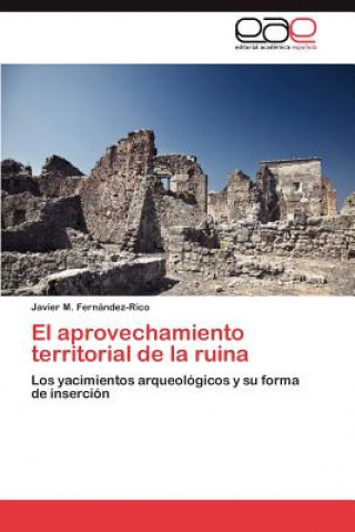 Kniha Aprovechamiento Territorial de La Ruina Javier M. Fernández-Rico