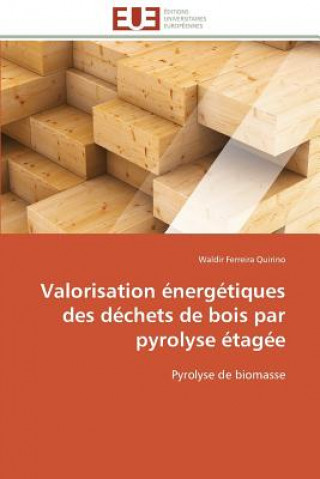 Könyv Valorisation energetiques des dechets de bois par pyrolyse etagee Waldir Ferreira Quirino