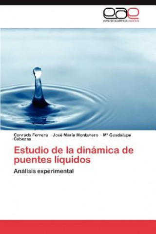 Libro Estudio de La Dinamica de Puentes Liquidos Conrado Ferrera