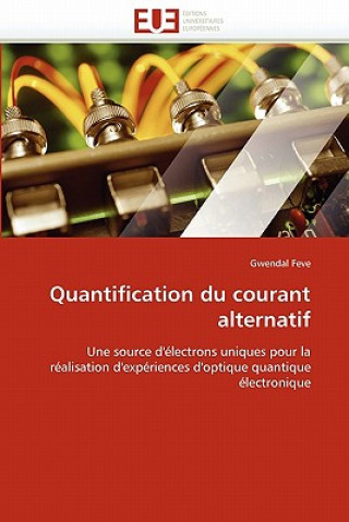 Kniha Quantification Du Courant Alternatif Gwendal Feve