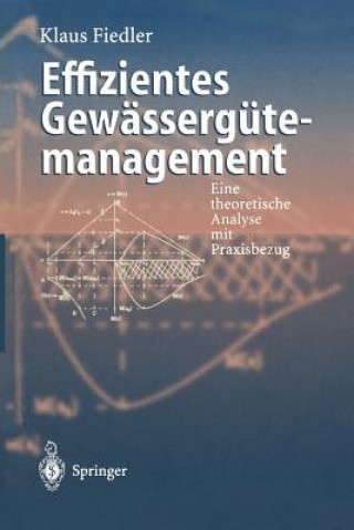 Kniha Effizientes Gewassergutemanagement Klaus Fiedler