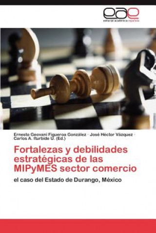 Carte Fortalezas y Debilidades Estrategicas de Las Mipymes Sector Comercio Ernesto Geovani Figueroa González