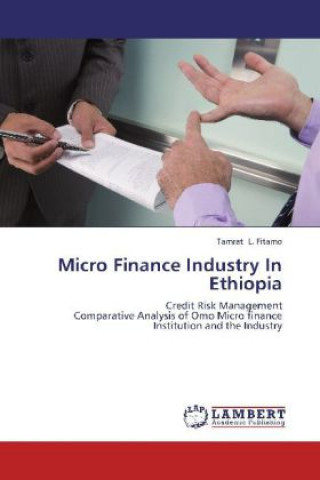 Książka Micro Finance Industry In Ethiopia Tamrat L. Fitamo