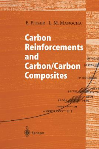 Kniha Carbon Reinforcements and Carbon/Carbon Composites E. Fitzer