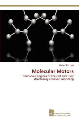 Kniha Molecular Motors Holger Flechsig