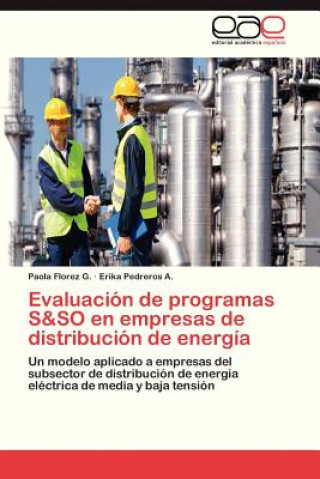 Βιβλίο Evaluacion de programas S&SO en empresas de distribucion de energia Paola Florez G.