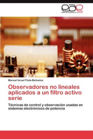 Kniha Observadores No Lineales Aplicados a Un Filtro Activo Serie Manuel Israel Flota-Ba Uelos