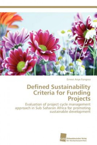 Könyv Defined Sustainability Criteria for Funding Projects Ernest Anye Fongwa