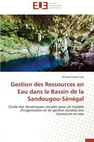 Book Gestion Des Ressources En Eau Dans Le Bassin de la Sandougou-S n gal Armand Fopah Lele