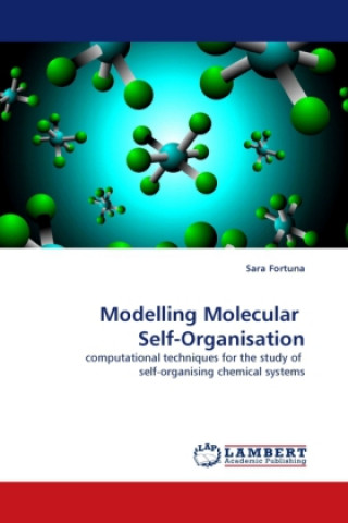 Książka Modelling Molecular Self-Organisation Sara Fortuna