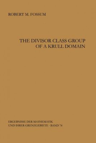 Könyv The Divisor Class Group of a Krull Domain Robert M. Fossum