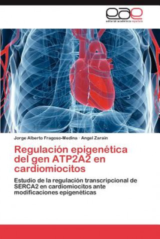 Carte Regulacion Epigenetica del Gen Atp2a2 En Cardiomiocitos Jorge Alberto Fragoso-Medina