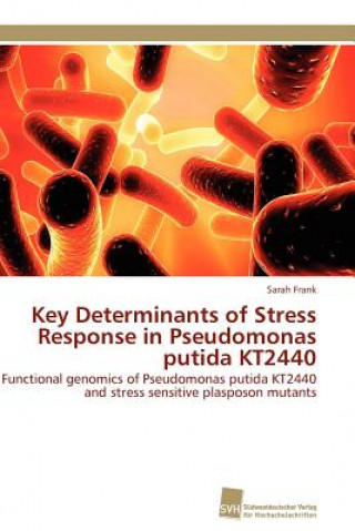 Könyv Key Determinants of Stress Response in Pseudomonas putida KT2440 Sarah Frank