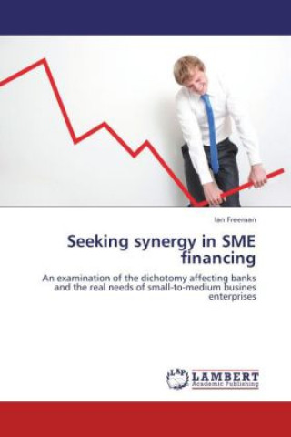 Kniha Seeking synergy in SME financing Ian Freeman