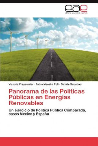 Kniha Panorama de las Politicas Publicas en Energias Renovables Victoria Freyssinier