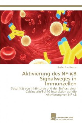 Könyv Aktivierung des NF-&#954;B Signalweges in Immunzellen Stefan Frischbutter