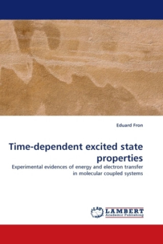 Knjiga Time-dependent excited state properties Eduard Fron