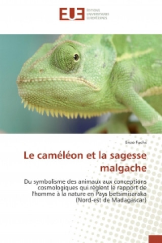 Книга Le caméléon et la sagesse malgache Enzo Fuchs