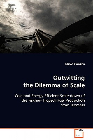 Carte Outwitting the Dilemma of Scale Stefan Fürnsinn