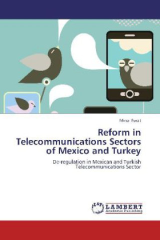 Könyv Reform in Telecommunications Sectors of Mexico and Turkey Mina Furat