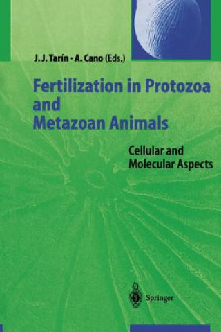 Kniha Fertilization in Protozoa and Metazoan Animals Antonio Cano