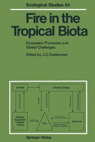 Buch Fire in the Tropical Biota Johann G. Goldammer