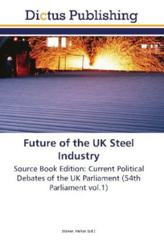 Buch Future of the UK Steel Industry Steven Parker